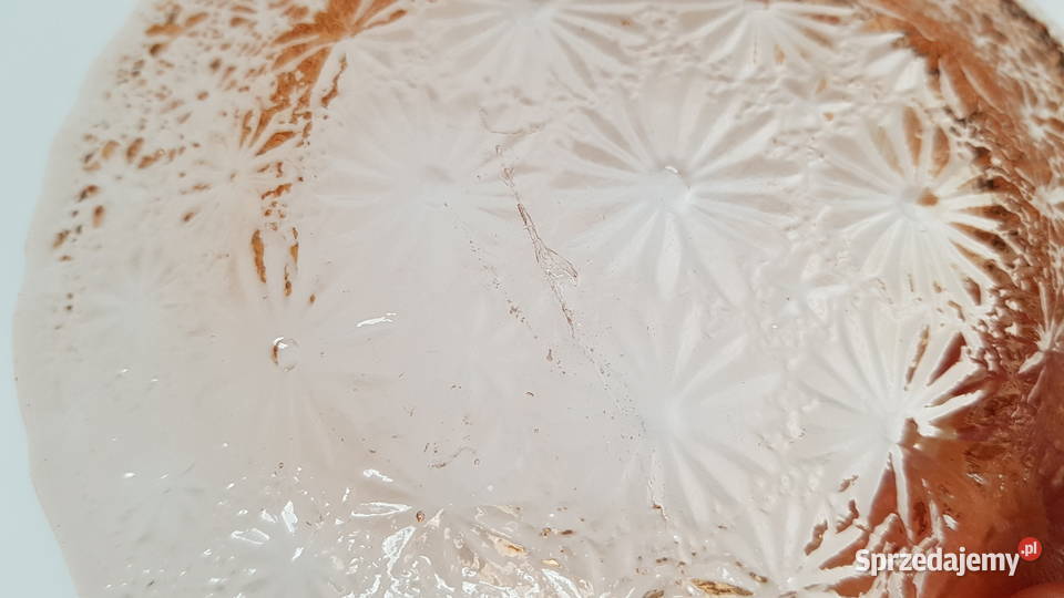 Zestaw 61 talerzyki talerz Stokrotki Primavera Porcelana i szkło Dąbrowa Górnicza