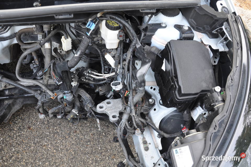 Toyota Aygo X Gniazdów