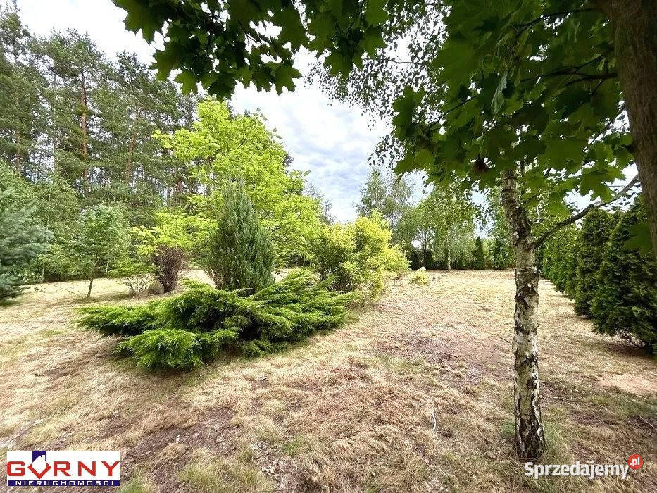 Grunt na sprzedaż Lubiaszów 1600m2 sprzedam