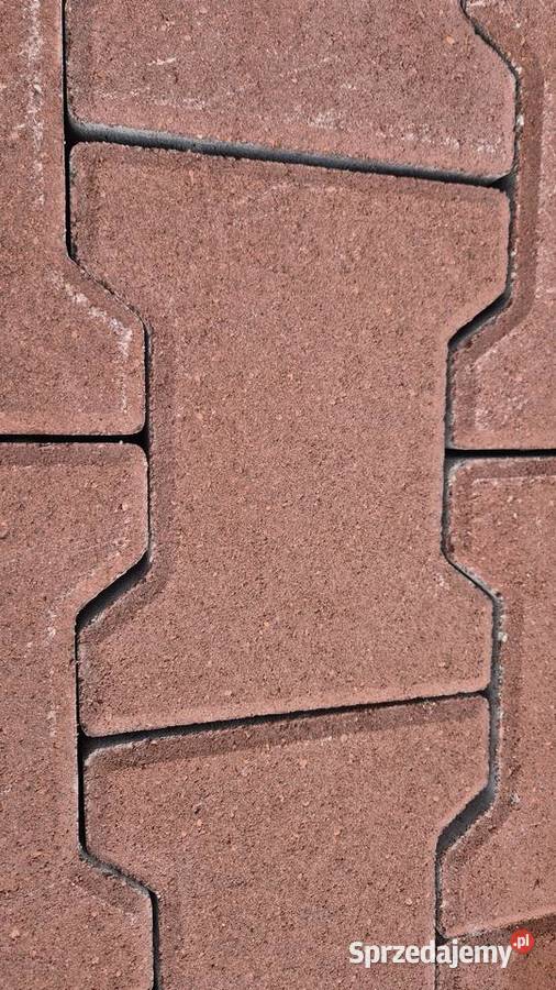 Kostka brukowa kość Hryniewicze