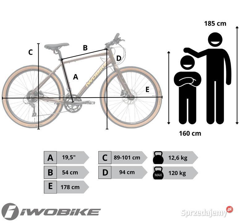Rower Męski Gravel 275 IWOBIKE 2025 Shimano Gorlice