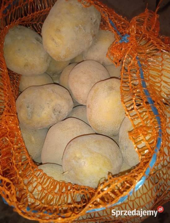 Sprzedam ziemniaki jadalne
