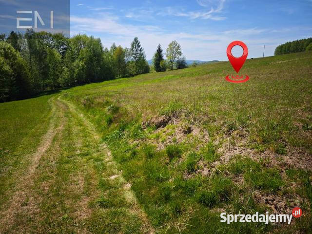 sprzedaży gruntu Lutcza 7000m2