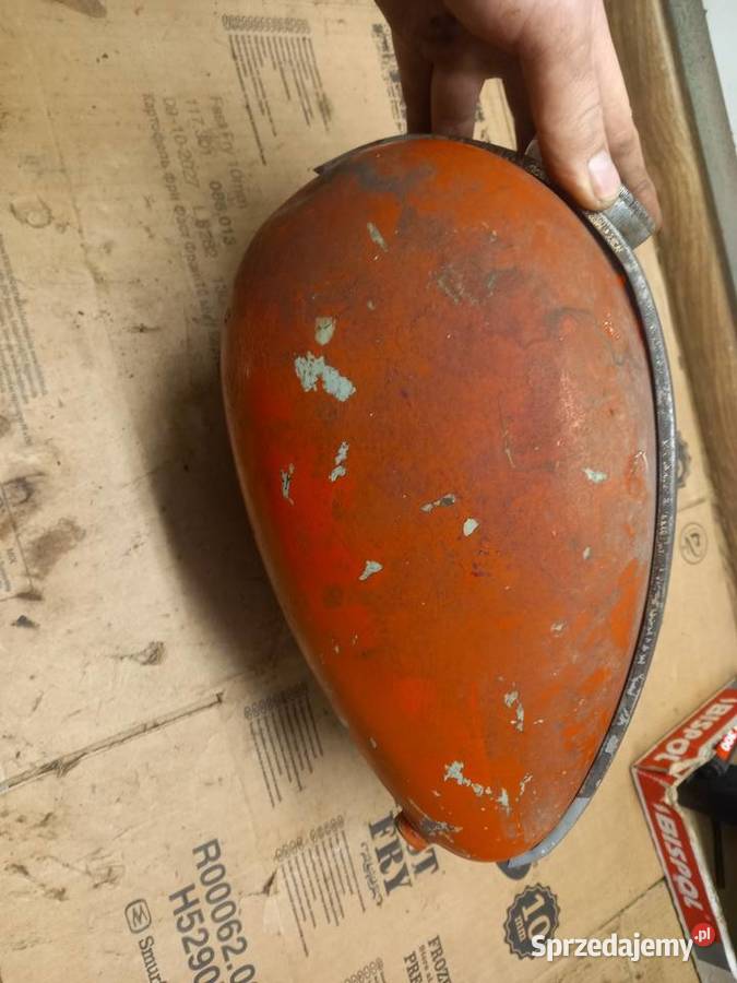 Bak zak rys mazowieckie