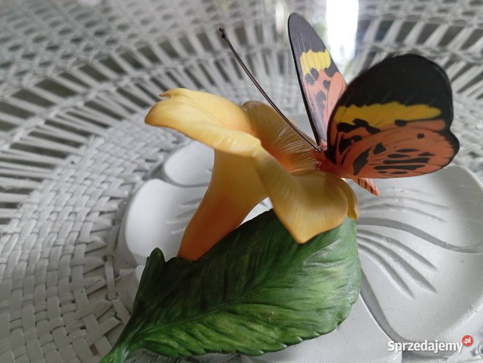 Porcelanowy motyl Franklin Porcelana i szkło Zielona Góra