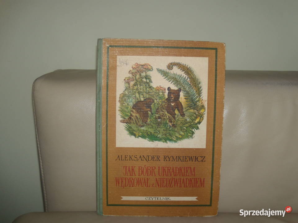 bóbr ukradkiem wędrował z niedźwiadkiem twarda Książki dla dzieci Warszawa