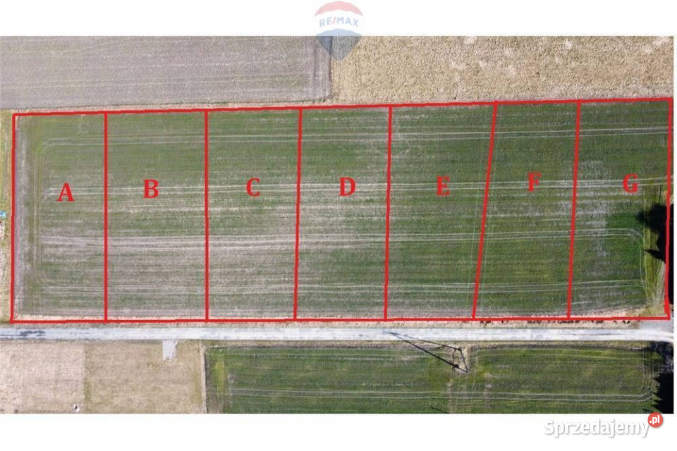 Działka budowlana w Zaborzu Zaborze
