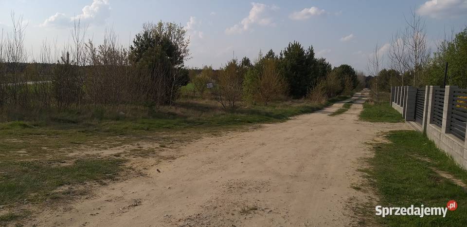 12 udziału w dużej działce budowlano siedliskowa 15692m2 Sprzedaż mazowieckie sprzedam