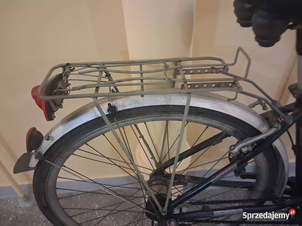 Rower Kalkhoff Blackwood Magnum Paseo Szczecin