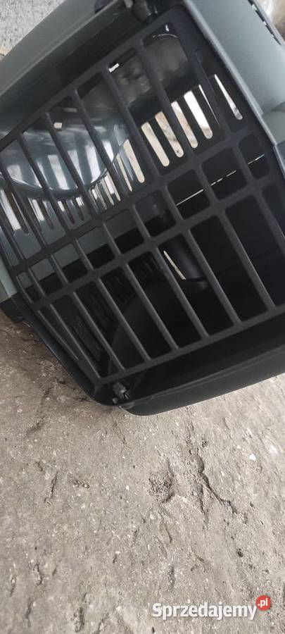 Transporter kota Częstochowa