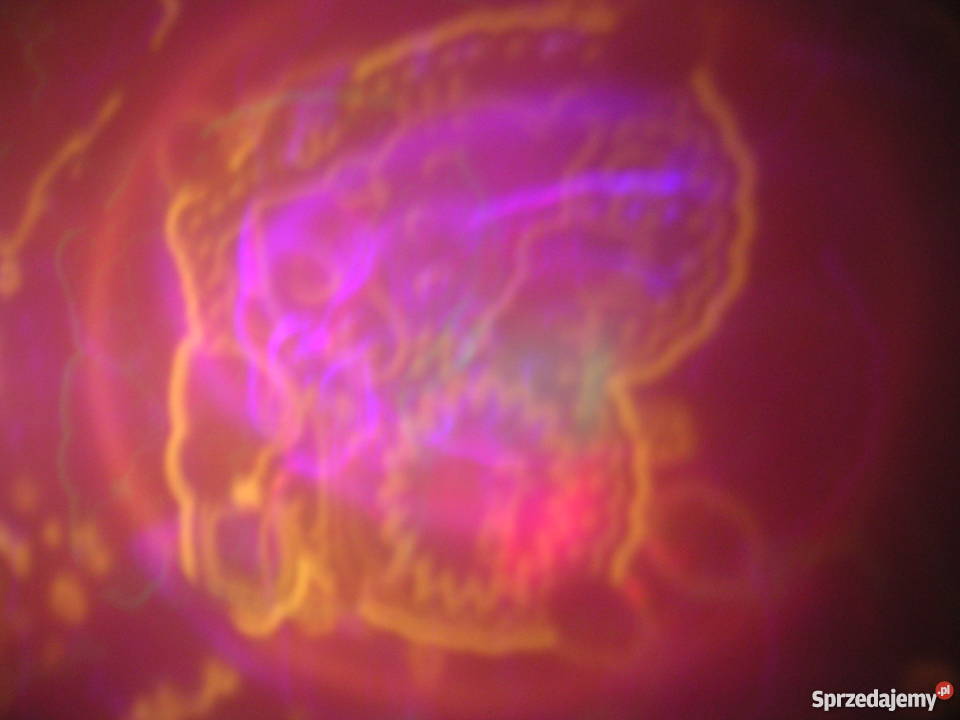 Nowa Lampka Nocna Hello Kitty Star Master