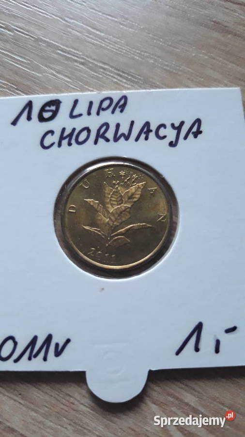10 Lipa Chorwacja 2007 r 2009 r2011 r Konin