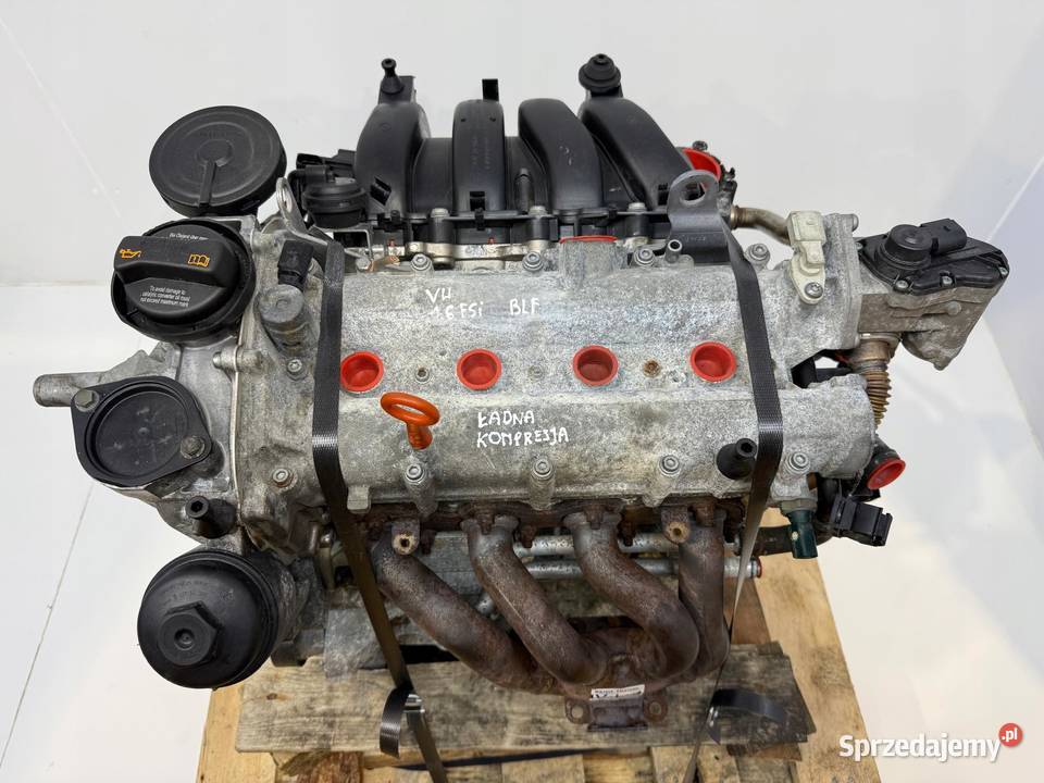SILNIK BLF VW Touran Golf V Eos Jetta III 16 FSI