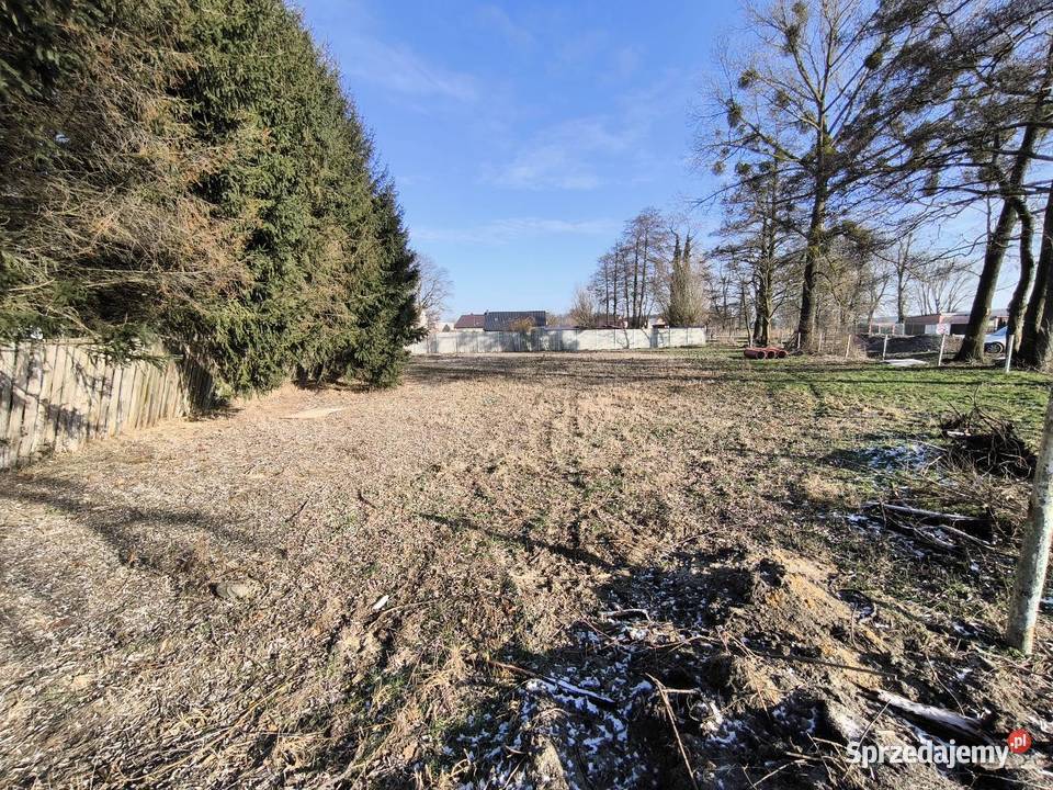 Na sprzedaż działka budowlana 1240 m Obłotne budowlana