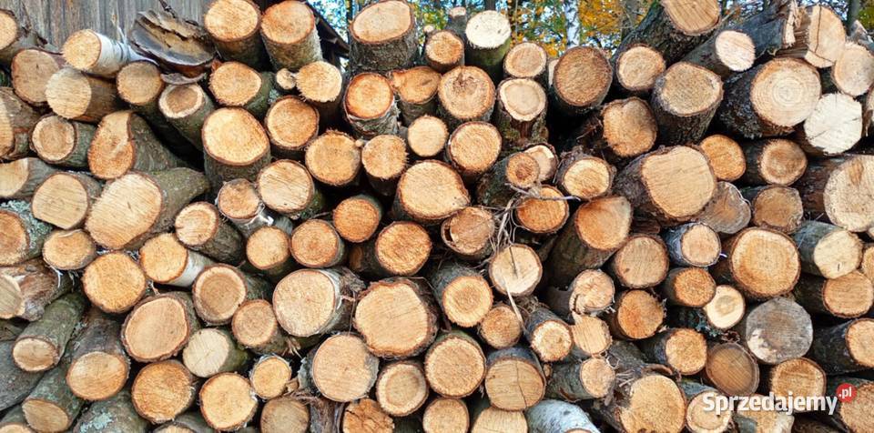 Drewno drzewo opałowe Majdan Sieniawski
