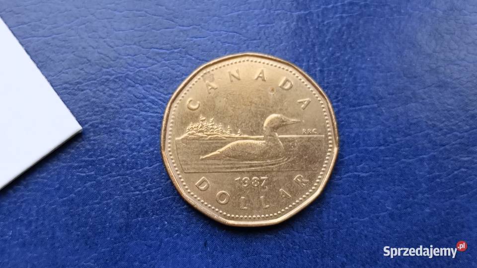 Stare monety 1 dolar 1987 Kanada podkarpackie