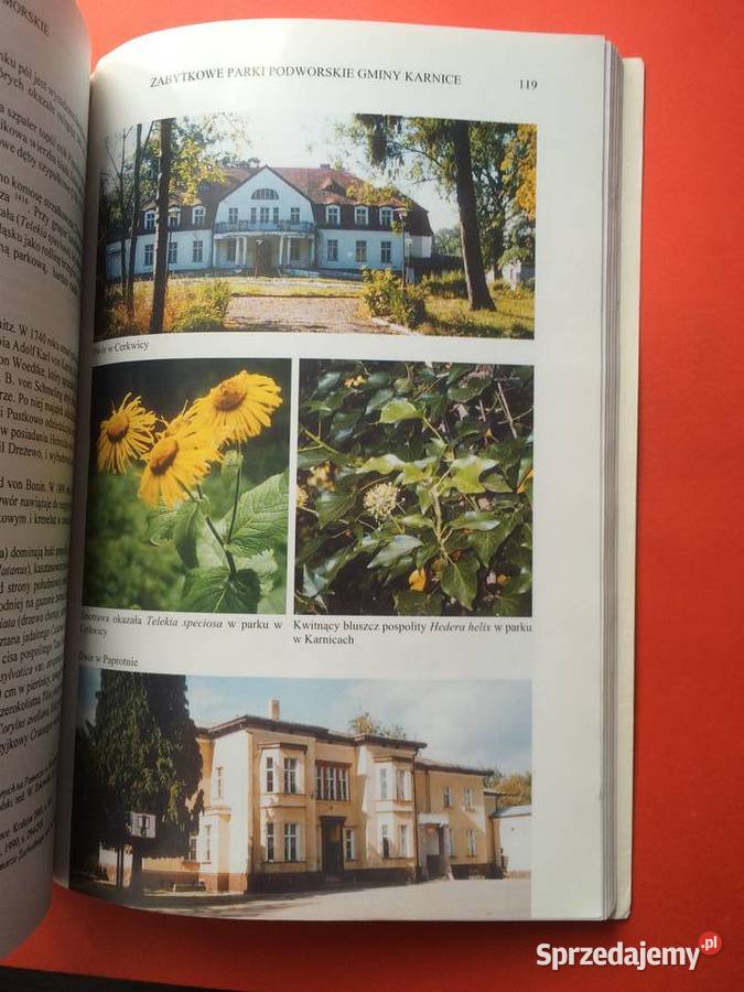 2379 Trzebiatów Spotkania Pomorskie 2004 r Szczecin