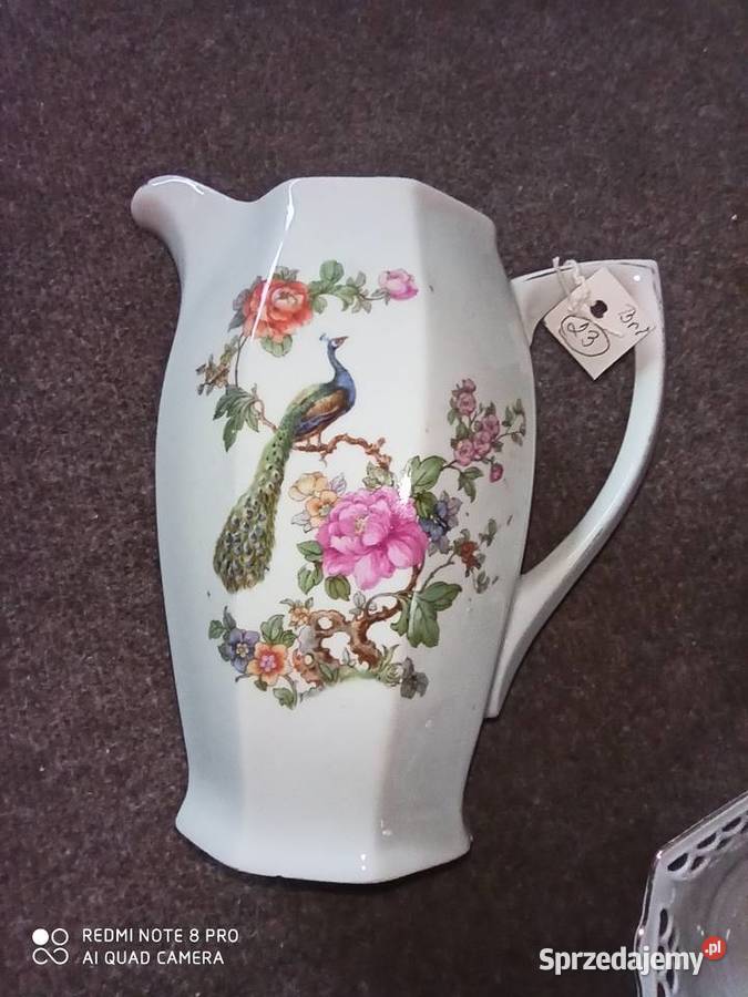 talerzyk deserowyz ptakiem