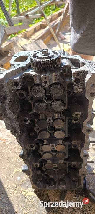 Silnik nissan cabstar atleon Imielin