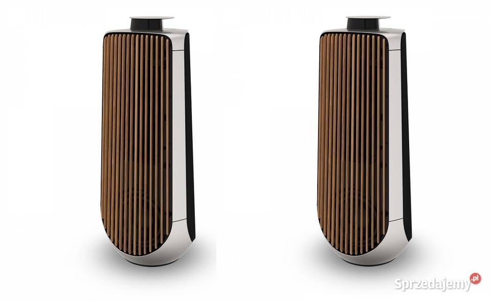 B&O (Bang & Olufsen) BeoLab 50