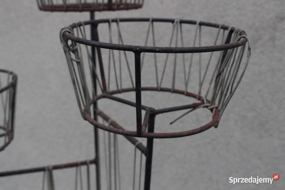 kwietnik żyłkowy prl Kalisz sprzedam