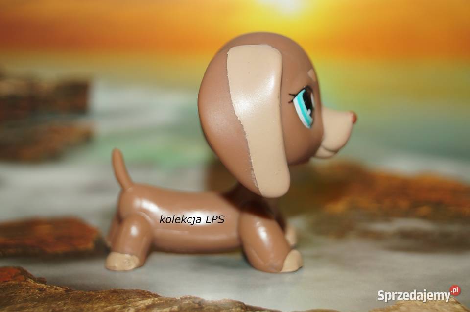 LPS Littlest Pet Shop jamnik 1751 oryginalny pop Rybnik