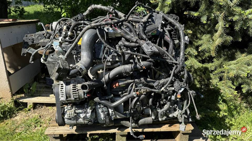 Renault koleos 2 Initiale Paris intens 20dci osobowe Alwernia