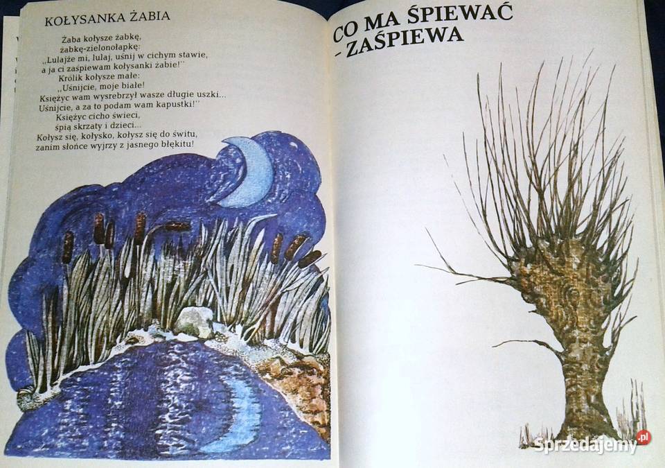 Czarymary Włodzimierz Słobodnik Chełm