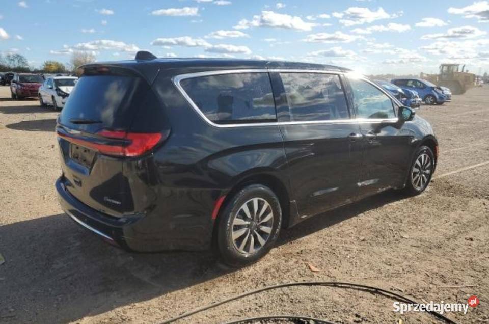 Pacifika hybryda sprzedam sprzedam