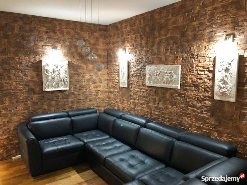 Sztukateria gipsowa Sztukaterie gipsowe gips Dekoracje i ozdoby Zielona Góra