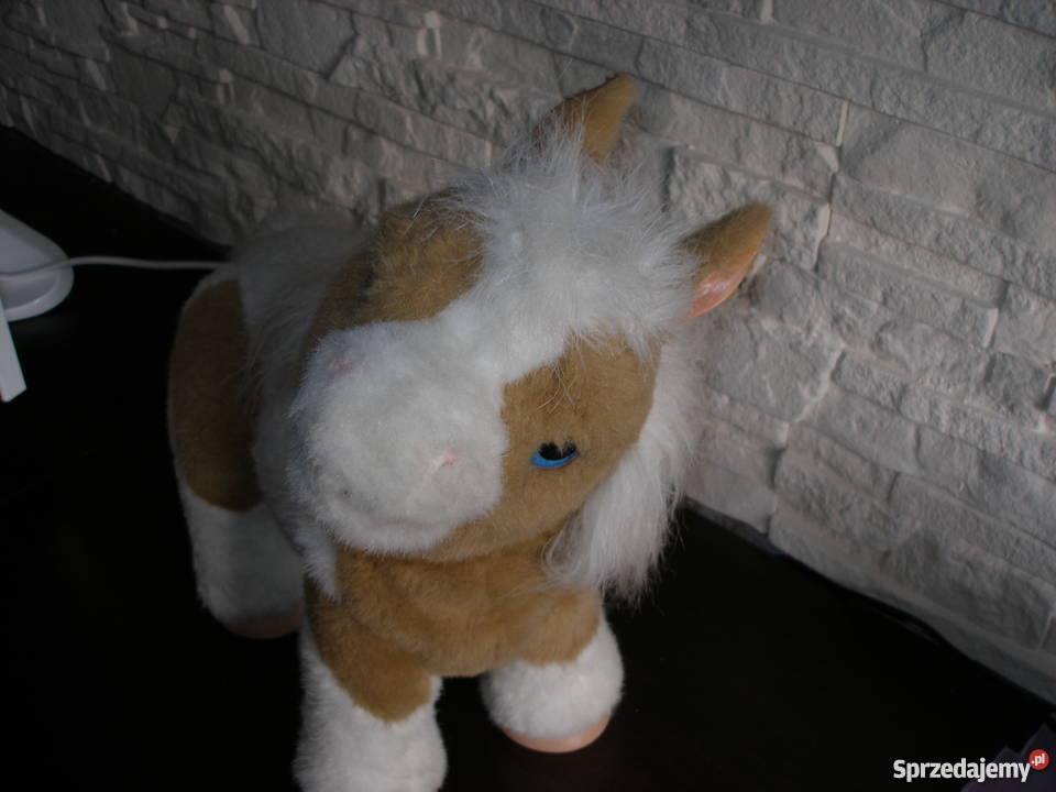 Interaktywny źrebaczek OKAZJA Suwałki