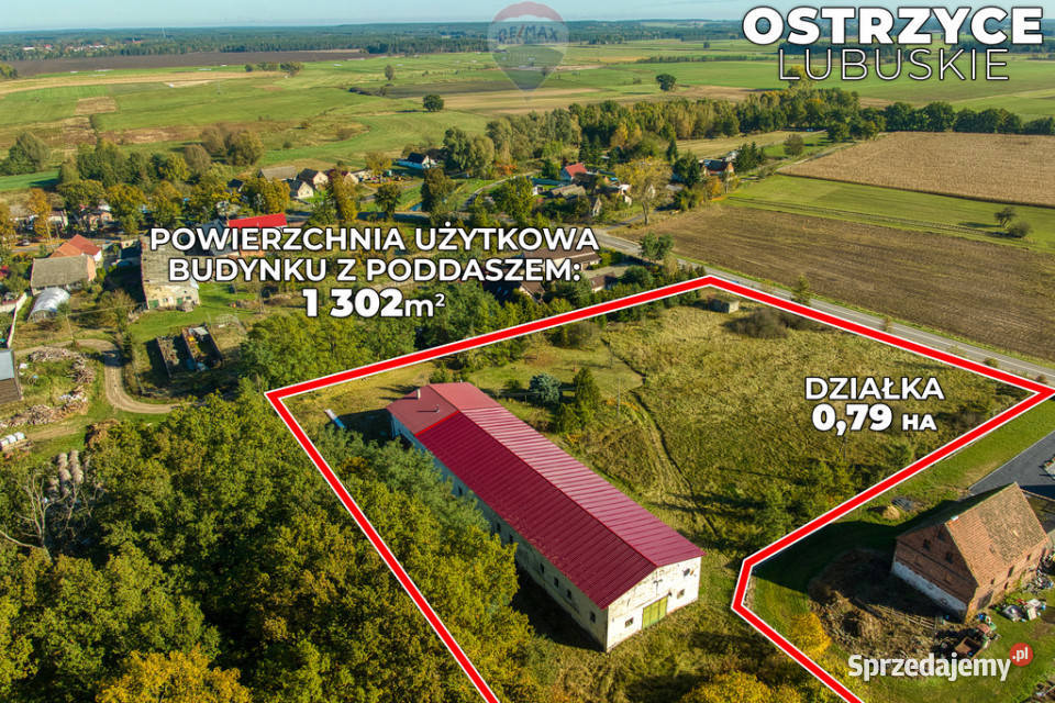 Nieruchomość inwestycyjna 99100 m Ostrzyce