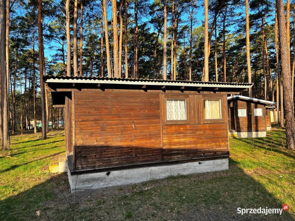 Mobilne Domki Drewniane 31m2 Wyprzedaż 471zł/m2 Brok