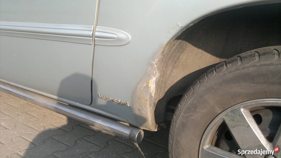 Komfortowy Amerykański Van Kutno