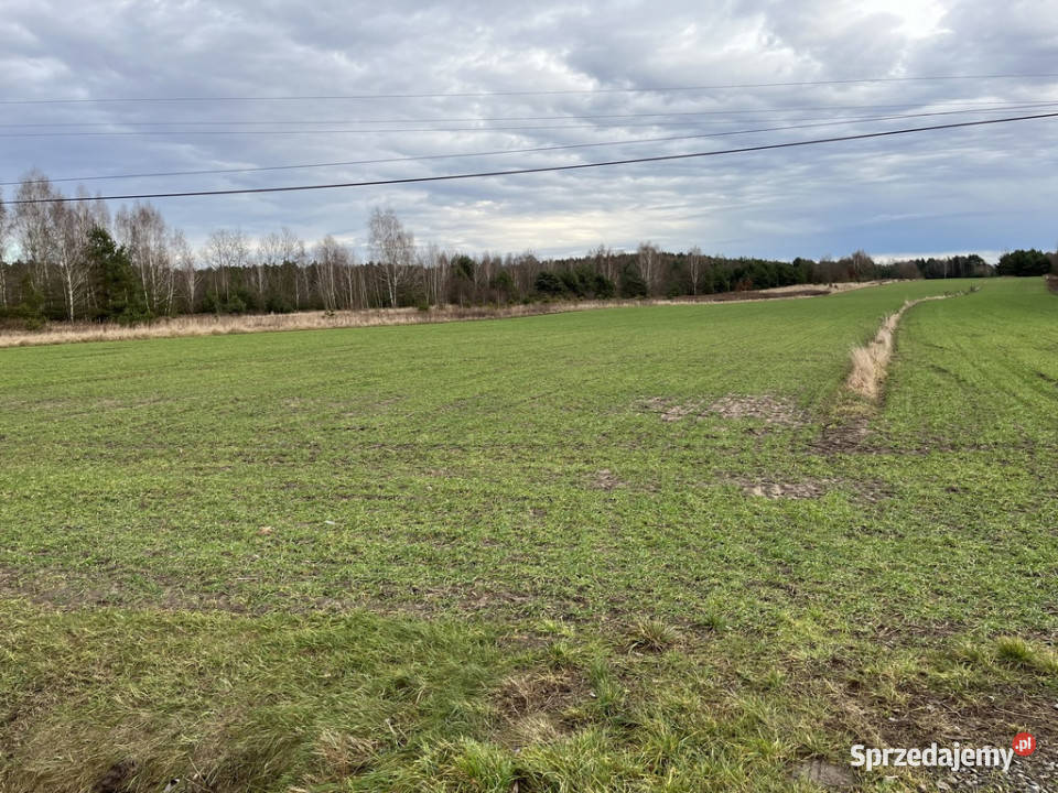 Duża działka inwestycyjna Wisły w Kłudziu Kłudzie
