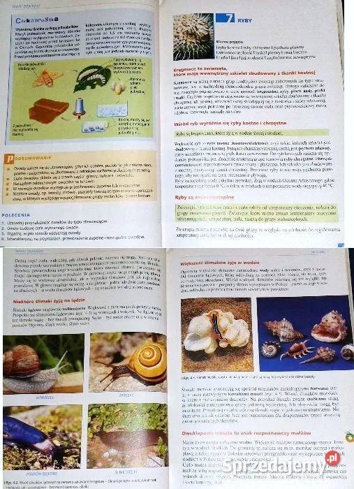 Ciekawa biologia Cz2 Ewa Kłos W Kofta Kultura i Rozrywka sprzedam