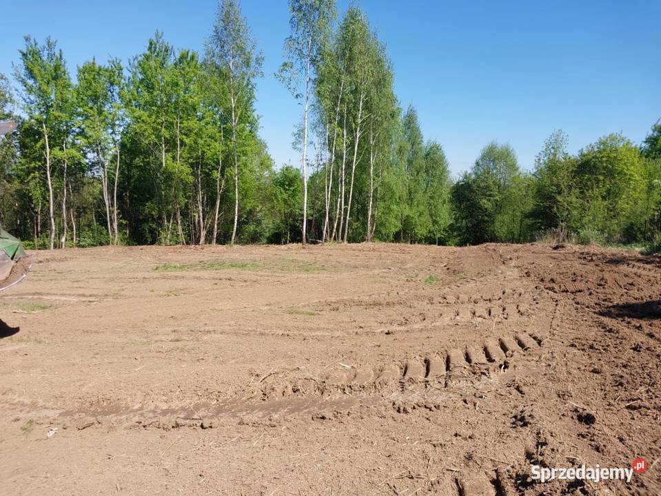 Wycinka ścinka drzew czyszczenie działek usługi Brzesko