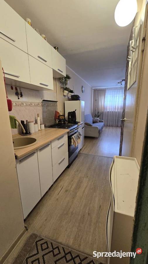 Mieszkanie 245m Bielany Warszawa