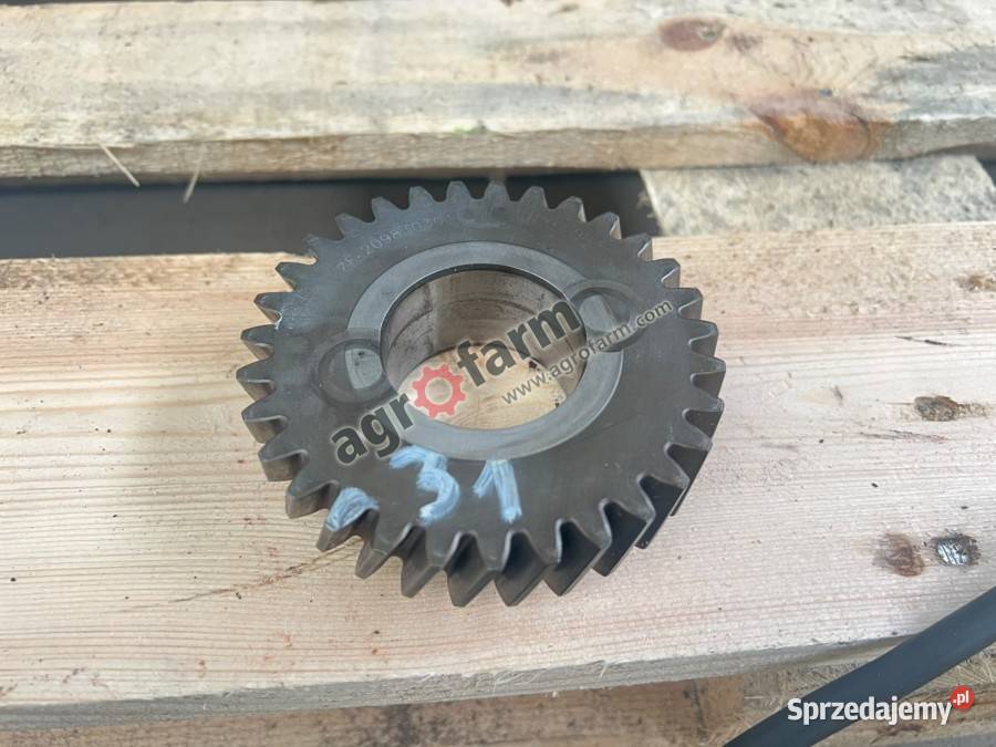 Koło Zębate Z31 Case Farmall 105 Luxxum 100 Byków