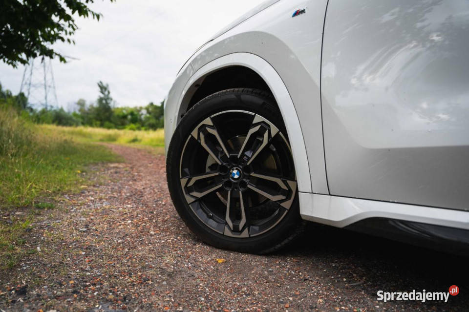 BMW X1 sDrive18i radio śląskie