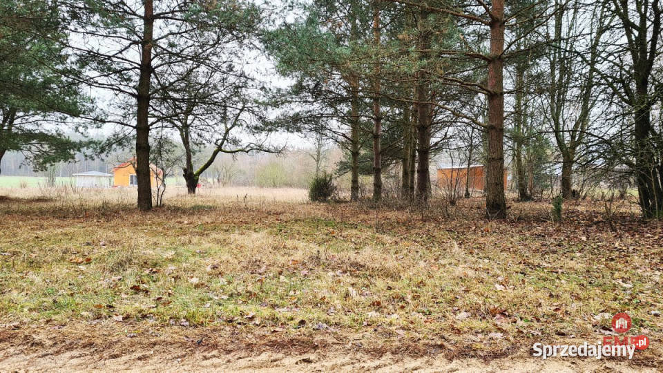 Grunt Pieńki 1743m2 sprzedam