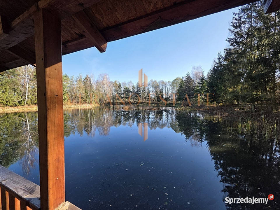 Rezydencja z potencjałem komercyjnym rzeka las Liczba pokoi 10 mazowieckie Białobrzeg Bliższy