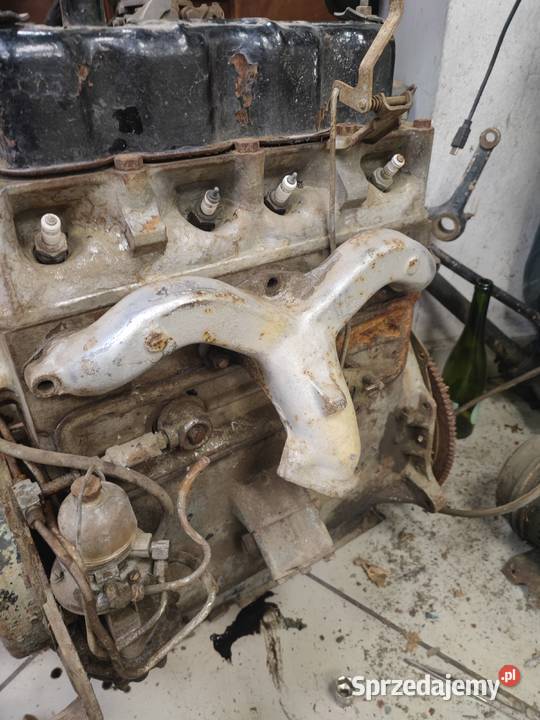 Jeep Willys Siedlce