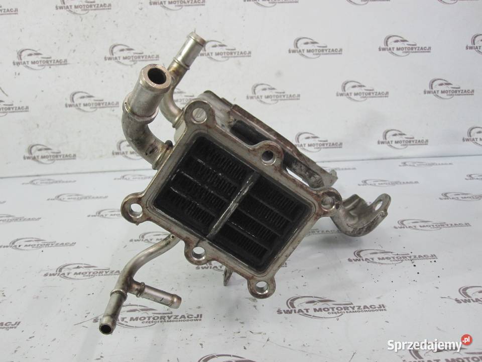 OPEL ANTARA 22 D A22DMH 184 12R chłodnica spalin sprzedam