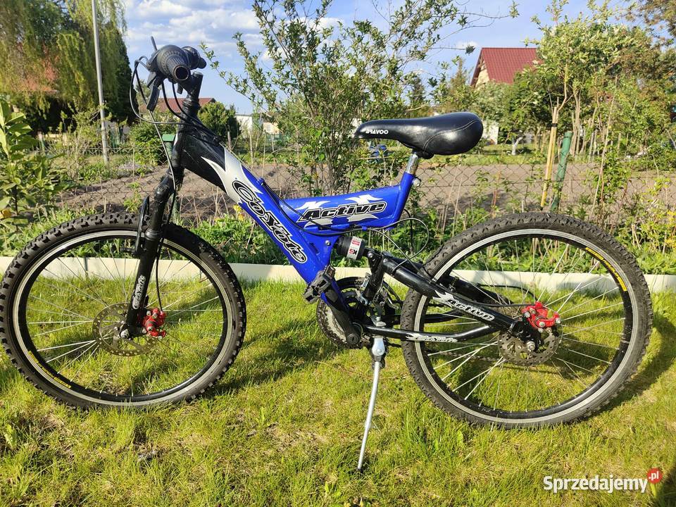 Rower Active Coyote 24