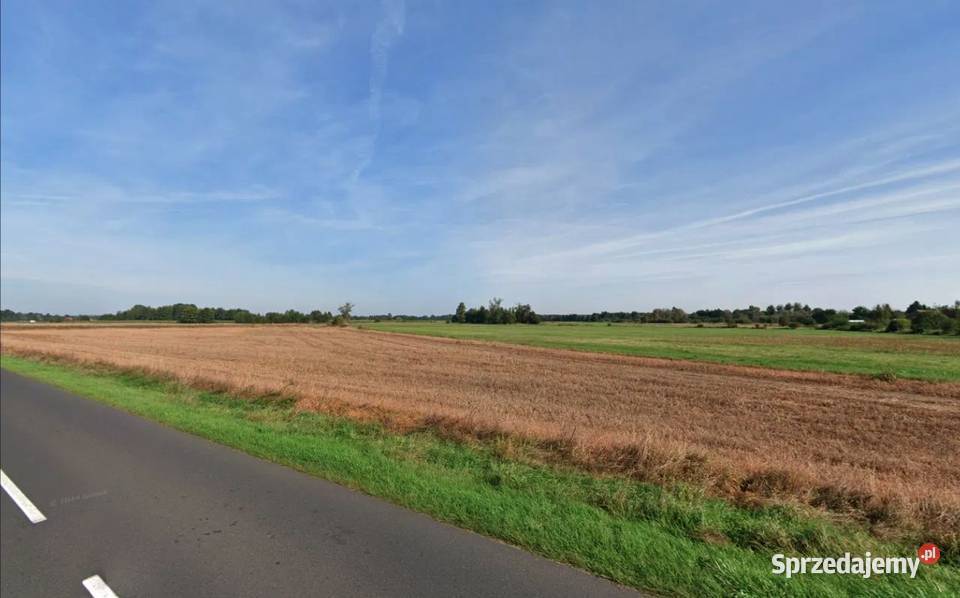 Działka dużym potencjałem inwestycyjnym Kolsko sprzedam