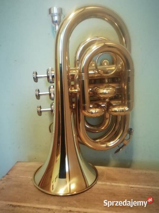 Mosiężna trąbka Kraków sprzedam