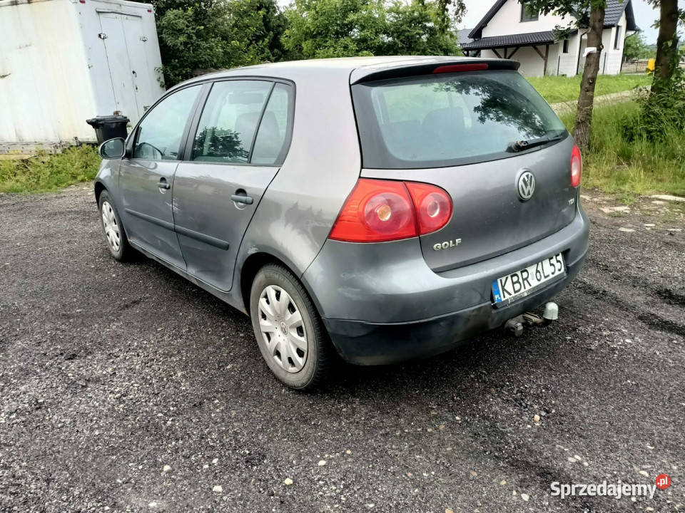 Volkswagen Golf Volkswagen Golf 19TDI 105 04r V Tarnów