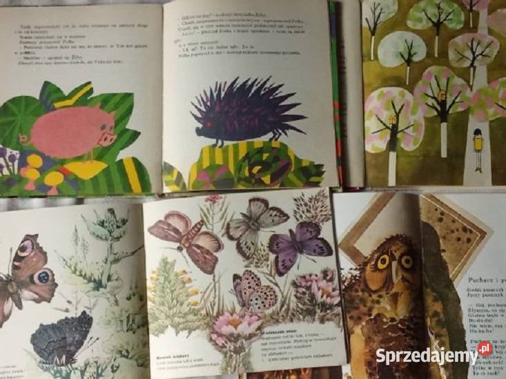 Ja kurczątkoty kurczątko Czirik i jego sąsiedzi Łódź sprzedam