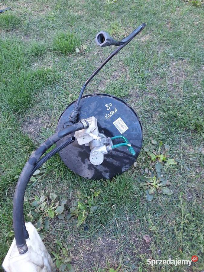 Servo citroen Xsara picasso wielkopolskie Mieleszyn